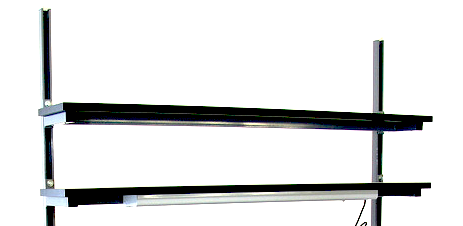 Upper Shelves