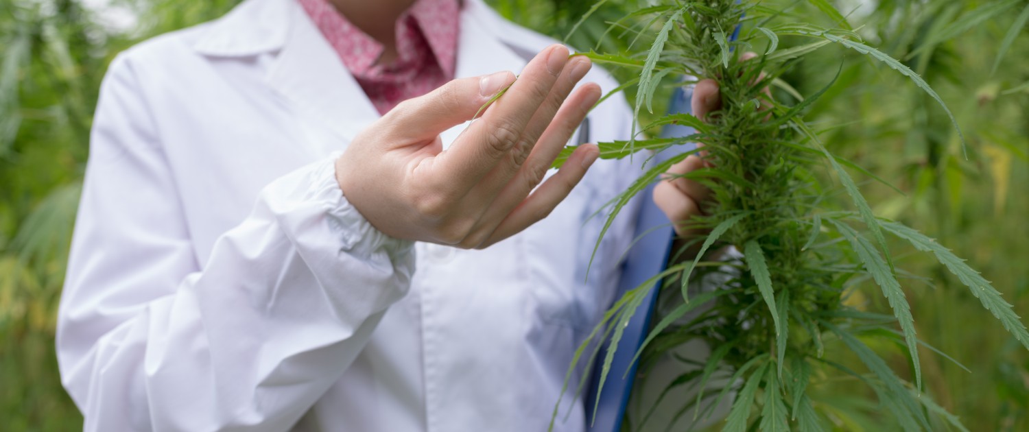 Fidelity Warranty Services >> Will Labs Embrace Medical Cannabis as Legalization Takes Hold? Fidelity Warranty Services >> Will Labs Embrace Medical Cannabis as Legalization Takes Hold?