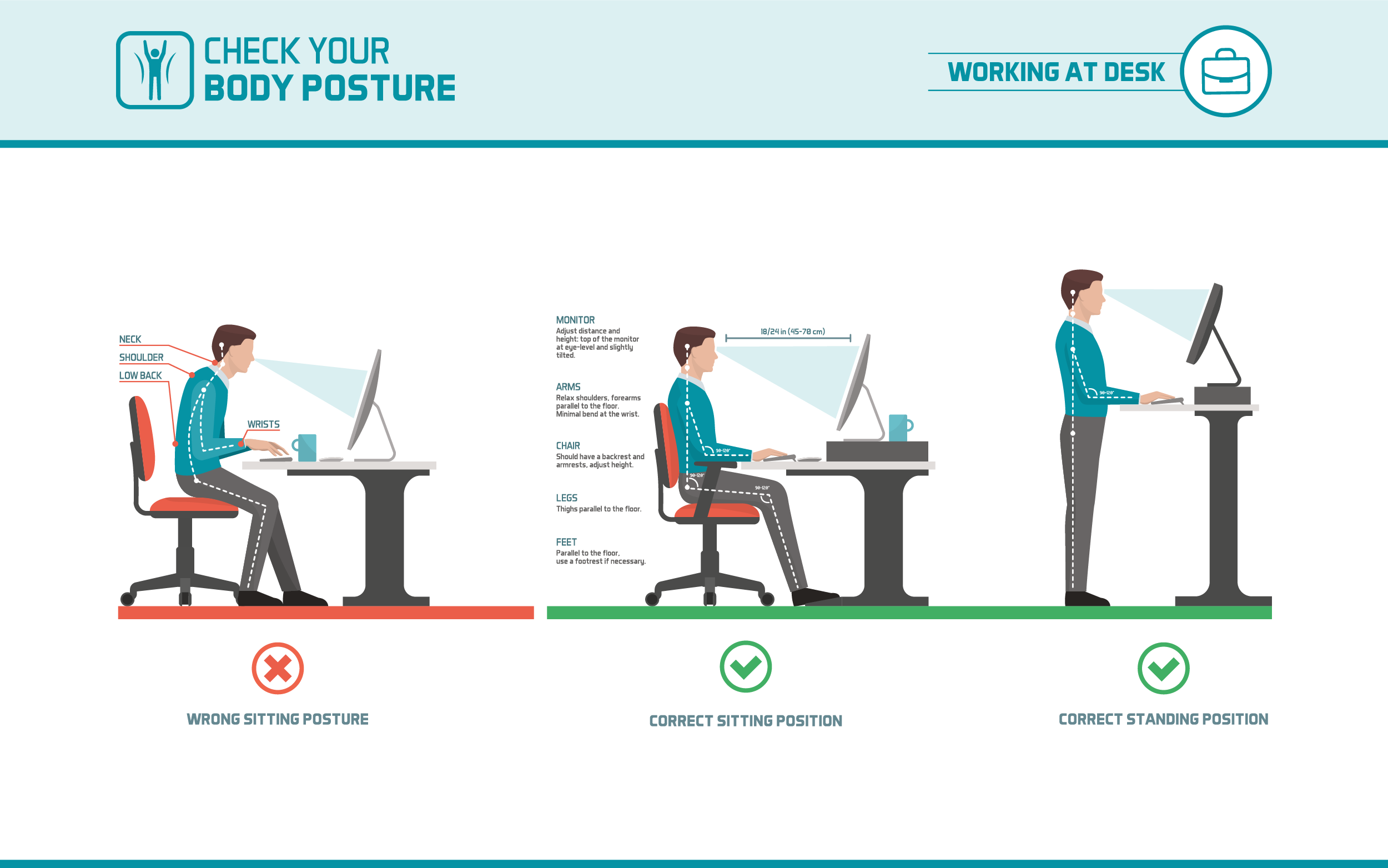 Ergonomics In The Workplace Benefits Examples Formaspace