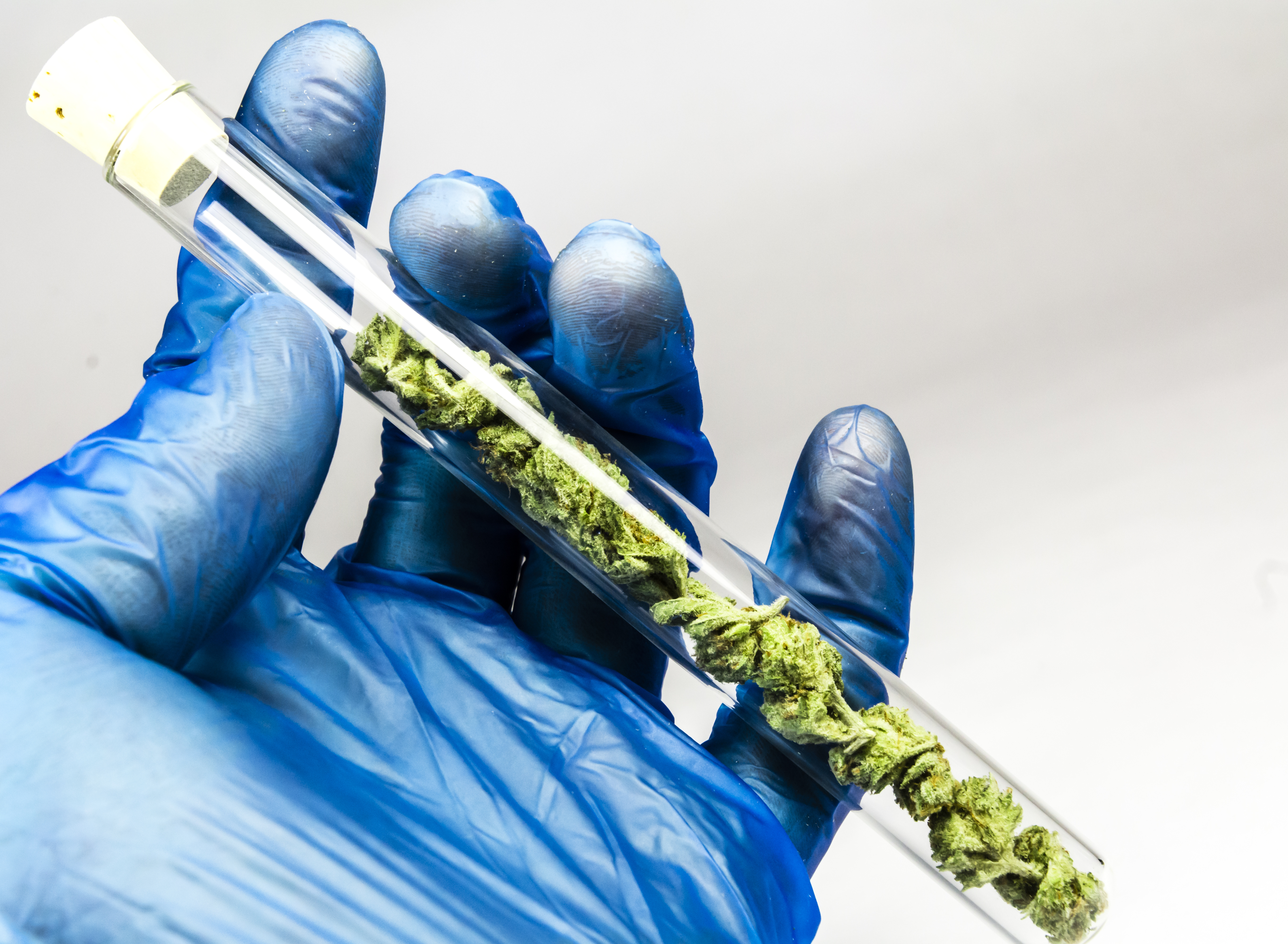 How to Start a Cannabis Testing Lab | Formaspace