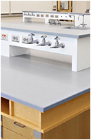 wet lab fume hood reagent shelf with gas water and air utilities