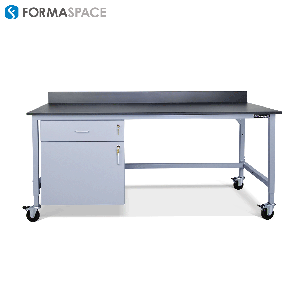 fixed casework with mobile cart