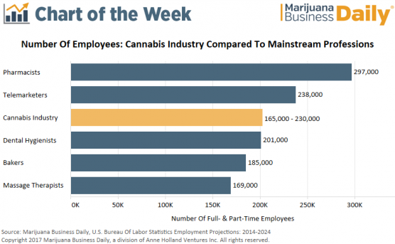 Number of employees in cannabis industry