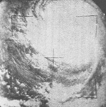 hurricane carla