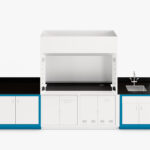 Custom laboratory fume hood with RGX casework