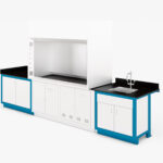 Laboratory fume hood with RGX cabinetry