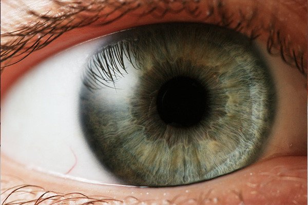 Have we met before? The FBI's Next Generation Identification system is on the case. wpfc
