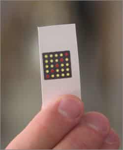 Wyss Institute scientists have embedded effective synthetic gene networks in pocket-sized slips of paper capable of identifying pathogens such as Ebola virus. Credit: Harvard's Wyss Institute Wyss Institute scientists have embedded effective synthetic gene networks in pocket-sized slips of paper capable of identifying pathogens such as Ebola virus. Credit: Harvard's Wyss Institute